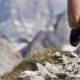 Fhinix_Diferencias entre Trail Running y Running en Asfalto